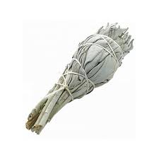 Bouquet de Sauge Blanche