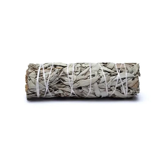 Fagot de Sauge Blanche
