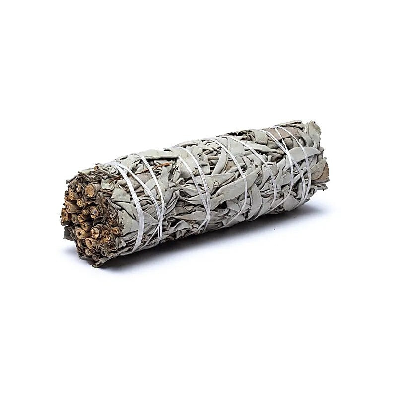 Fagot de Sauge Blanche